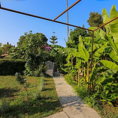 Smjestaj Djurdjevic Appartement Herceg Novi Buitenkant foto